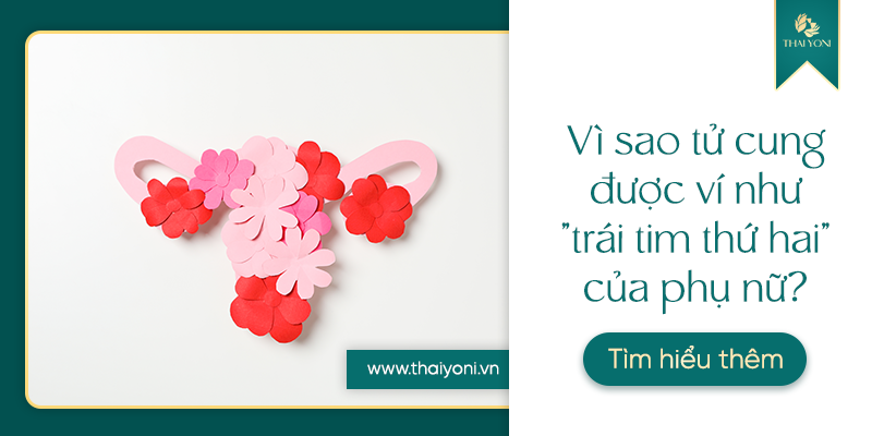 Vi sao tu cung duoc vi nhu trai tim thu hai cua phu nu